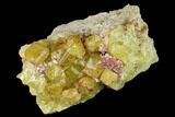 Yellow Topazolite Garnet Cluster - Mexico #169365-1